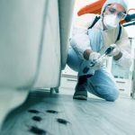 pest-control-tips-450x250-1