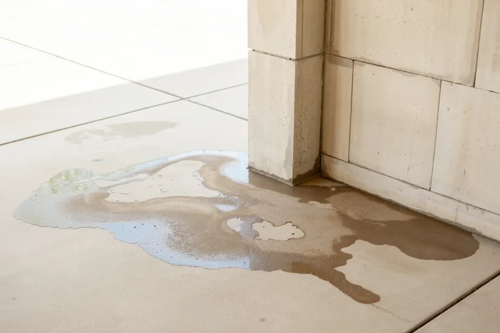 687653763ef841143ad50e83_Slab-Leak (1)