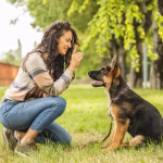 how-to-train-a-german-shepherd-puppy (1)