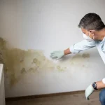 1800x1200_mold_in_house_bigbead